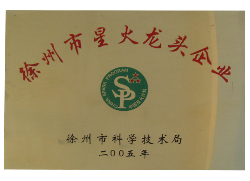 徐州市星火龙头企业.png
